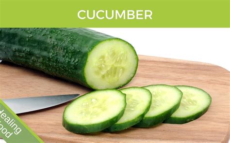 Cucumber Cucumis Sativus Health Benefits Brett Elliott