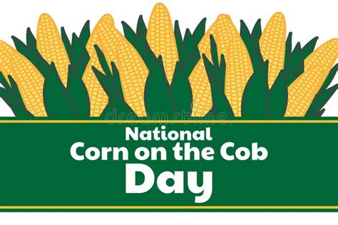 National Corn On The Cob Day June 11 Holiday Concept Stock Vector