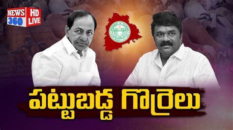 Cag Sensational Report On Sheep Distribution Scheme Kcr Talasani