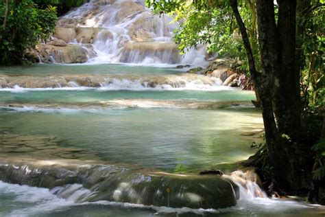 Dolphin Royal Swim in Ocho Rios Jamaica | Dolphin Cove