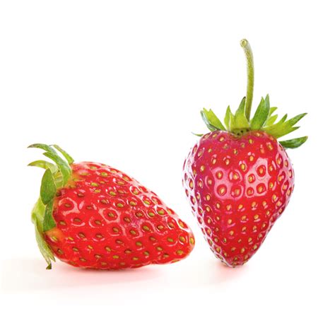 Fresa – SAFTA EXPORT