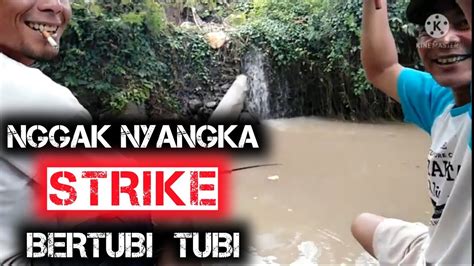 Mancing Ikan Nggak Nyangka Strike Bertubi Tubi Mancing Ikan Mancing