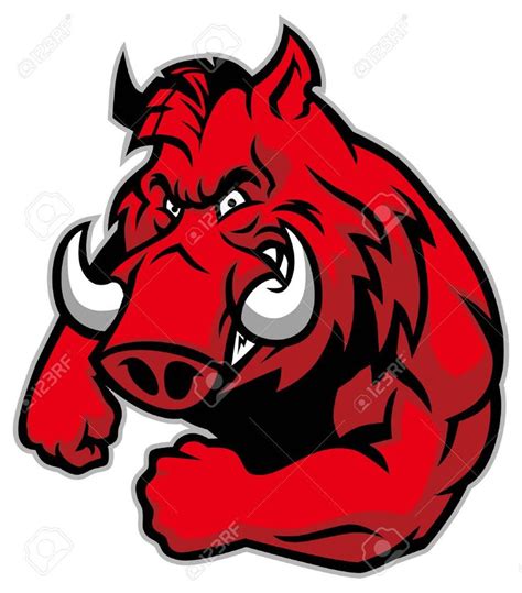 Wild Hog Mascot With Muscle Body Illustration Affiliate Mascot