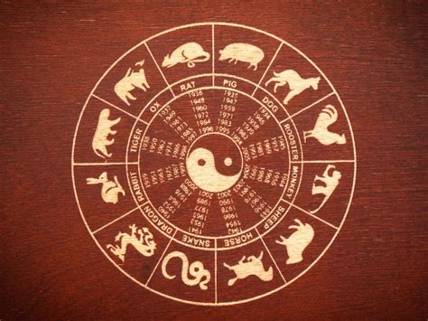 Chinese Zodiac Elements: What They Are And What They Mean, 40% OFF