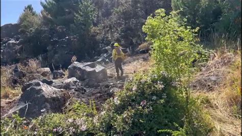 Autoridades confirman contención de incendio forestal en cerro Mackay