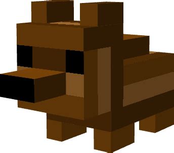 Bear Cub Pet - Suggestions - The Hive Forums