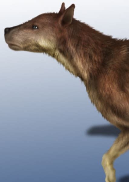 Epicyon on myCast - Fan Casting Your Favorite Stories