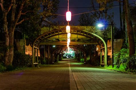 720+ Cherry Blossom Night Landscape At Tokyo Japan Stock Photos ...