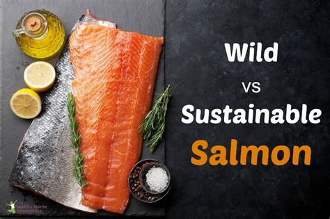 Is Sustainable Salmon Safe How Does It Compare To Wild Healthy Home