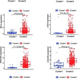 The Different Expressions Of Immune Checkpoints Between The Clusters