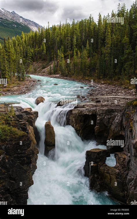 Sunwapta Falls, Sunwapta River, waterfall, Jasper National Park ...