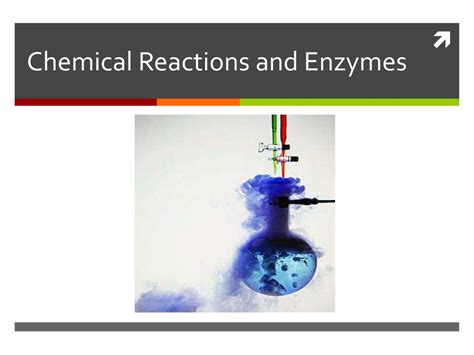 Ppt Chemical Reactions And Enzymes Powerpoint Presentation Free Download Id2848082