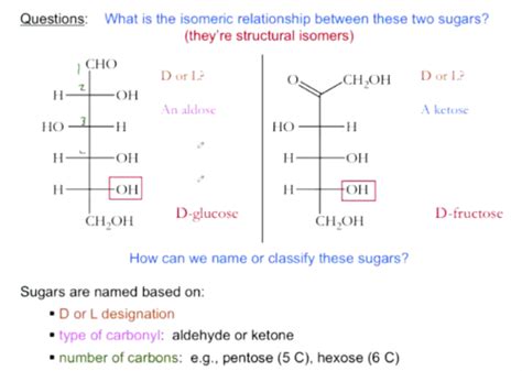 Biochemistry Exam Flashcards Quizlet