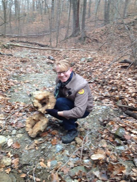 Geode Hunting In Indiana American Geode