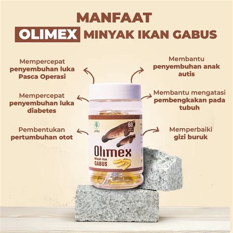 Jual Kapsul Olimex Ekstrak Kapsul Ikan Gabus Kutuk Original High