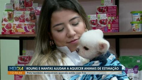 C Es Recebem Agasalhos E Cobertas Para Se Proteger Do Frio No Paran