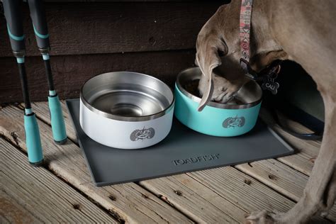 How To Keep Your Dog Hydrated