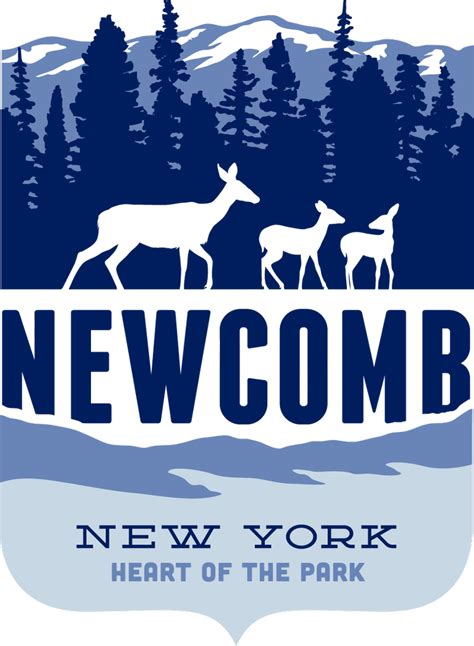 Lake Harris State Campground — Town Of Newcomb