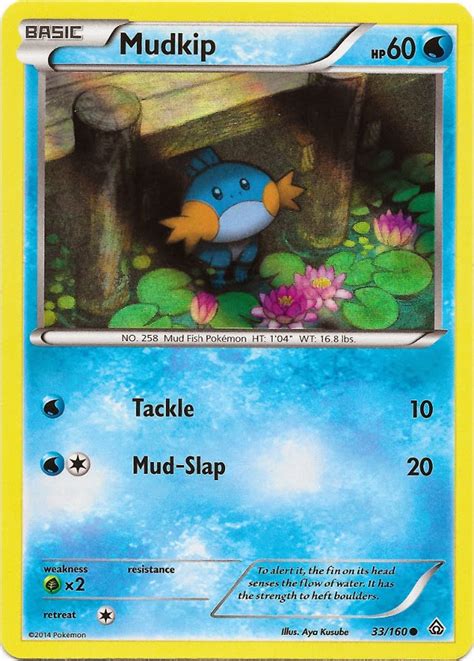 Mudkip Primal Clash Pokemon Card Review Primetimepokemons Blog