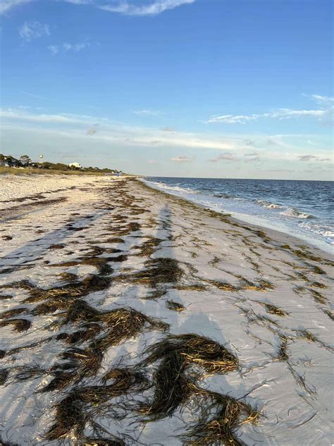 The Forgotten Coast Of Florida The Ultimate Travel Guide 2023 Undiscovered Beaches Fetch The Wave