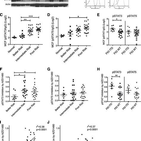 Increased STAT3 And STAT5 Activity In Human AML Stem Progenitor Cells