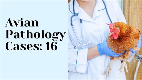 Avian Pathology Cases Bitchin Chickens