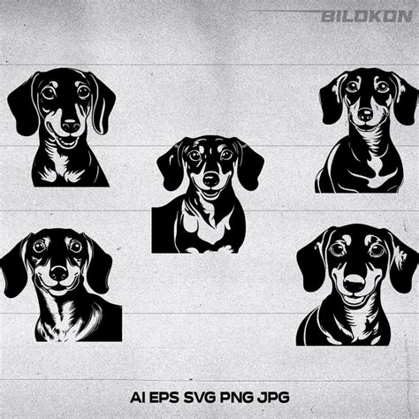 Dachshund Dog Face Svg Vector Illustration Masterbundles