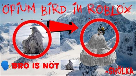 How To Make Opium Bird Erosion Bird In Roblox Calm Luh Vid Youtube