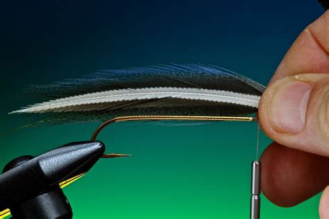 Tying The Matuka Fly Pattern Fulling Mill Blog