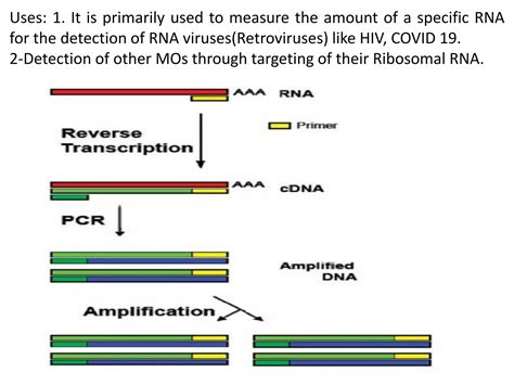 Polymerase Chain Reaction Pcr 139 Definition Principle Types And