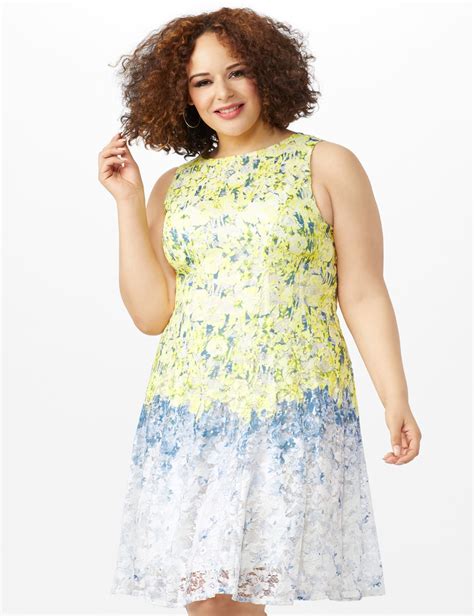 Sleeveless Round Neck Ombre Floral Print Lace Dress Dressbarn Lace