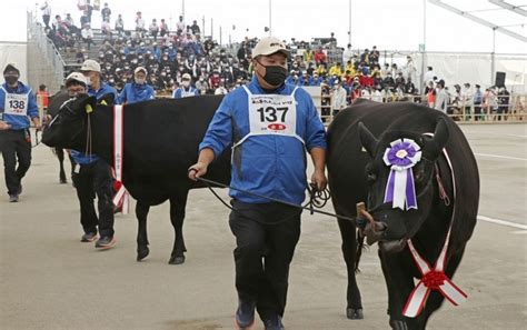 Kagoshima Miyazaki Named Winners Of Japan S Wagyu Olympics