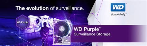 Tb Western Digital Purple