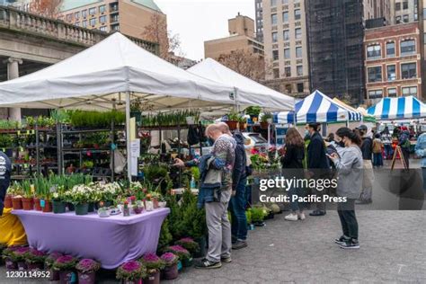 464 Union Square Farmers Market Stock Photos, High-Res Pictures, and ...