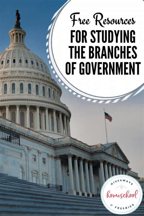 Three Branches Of Government Tree Worksheet