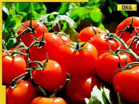 Tomatoes Prices Soar To Rs 120 Per Kg In Delhi Ncr Noida