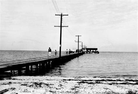 Vintage Anna Maria Florida Postcards Vintage Postcards From The State