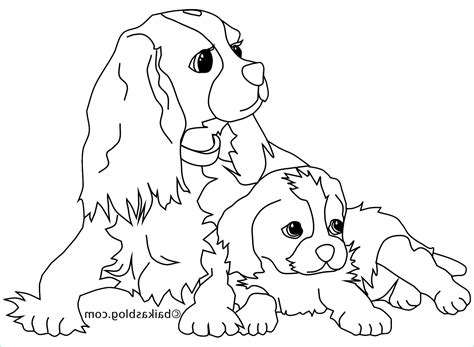 Dessin à Colorier Chien Bestof Photos Coloriage De Chiens Coloriages De Chiens Coloriages