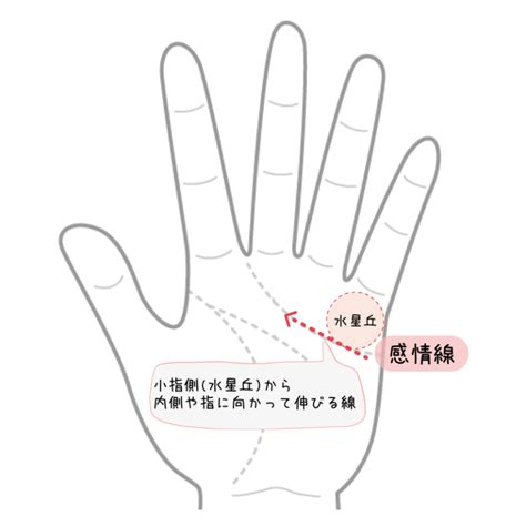 主要三線｜感情線・知能線・生命線とは？ 手相の見方