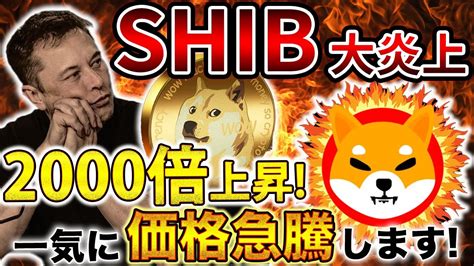 【仮想通貨shib】※btc半減期前必見※shib大炎上し今後の行方を徹底解説 買い一択で問題なし 2000倍上昇銘柄公開 ️仮想