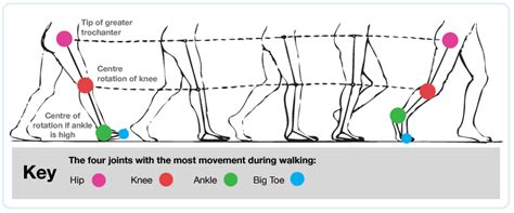 I Love Physical Therapy Gait Analysis