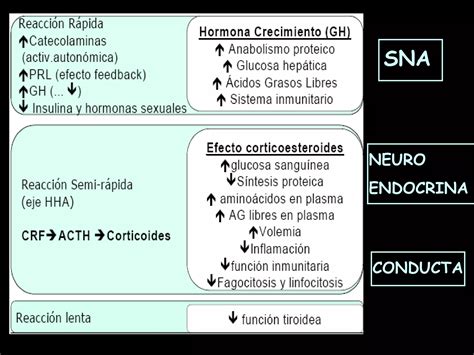 Pnie Psico Neuro Inmuno Endocrino Sindrome Fatiga Cronica Fibromialgia