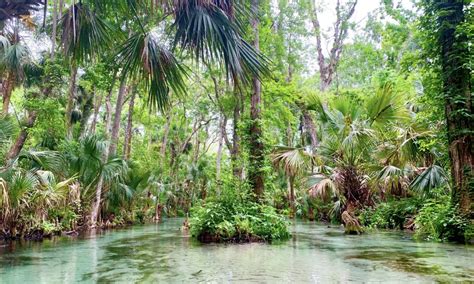 The 5 Best Natural Springs Near Orlando Impulse4adventure Florida