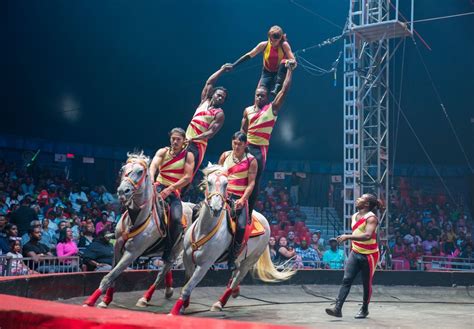 Universoul Circus 2024 Dates - Hulda Rosalynd