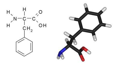Fenilalanin | Hatóanyag adatbázis