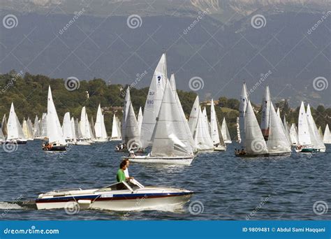 Speed at Bol D or Regatta Race Editorial Photo - Image of yachts, boat: 9809481