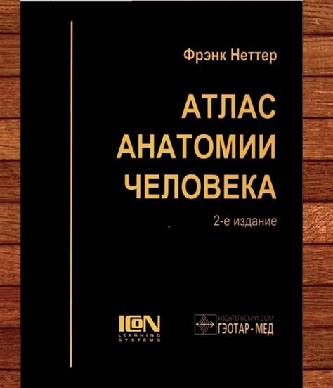 Неттер Ф. - Атлас анатомии человека Атлас анатомии человека состоит из ...