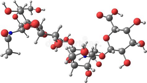 Structure Mol Culaire D Acide Hyaluronique D Isolement Sur Le Blanc