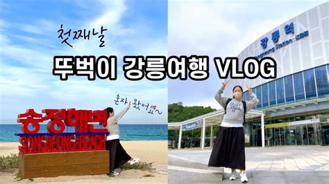 국내여행 vlog 혼자 떠난 강릉여행 강릉 뚜벅이 여행 브이로그 초당버거 갤러리밥스 초당옥수수커피 노마드인