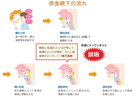 嚥下とは 飲み込み110番